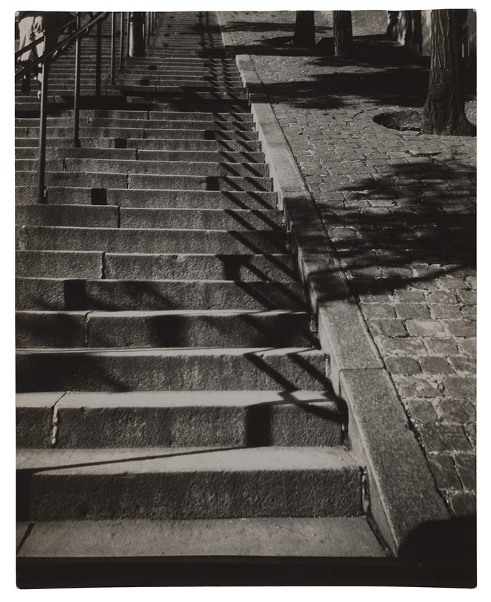 Treppenstufen mit dem Schatten mehrerer Bäume