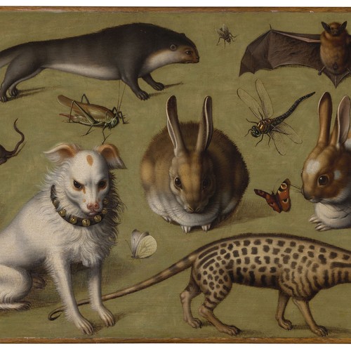 Verschiedene Tiere auf einem olivfarbenem Grund. Man sieht dort u.a. einen Hund, zwei Hasen, einen Otter und eine Ginsterkatze sowie diverse Insekten.