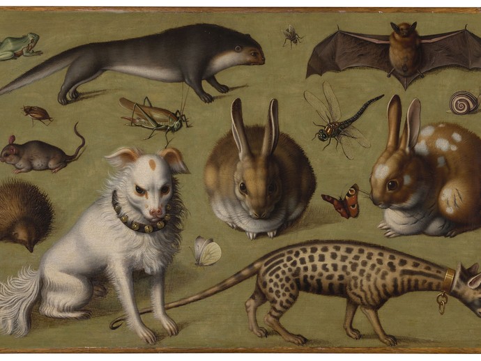 Verschiedene Tiere auf einem olivfarbenem Grund. Man sieht dort u.a. einen Hund, zwei Hasen, einen Otter und eine Ginsterkatze sowie diverse Insekten. Verschiedene Tiere auf einem olivfarbenem Grund. Man sieht dort u.a. einen Hund, zwei Hasen, einen Otter und eine Ginsterkatze sowie diverse Insekten.