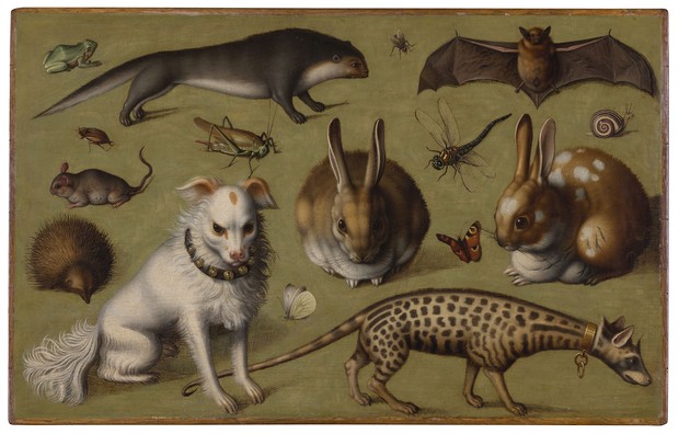 Verschiedene Tiere auf einem olivfarbenem Grund. Man sieht dort u.a. einen Hund, zwei Hasen, einen Otter und eine Ginsterkatze sowie diverse Insekten.