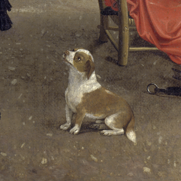 Ein Hund mit braun-weißem Fell sitzt neben dem Hausherrn
