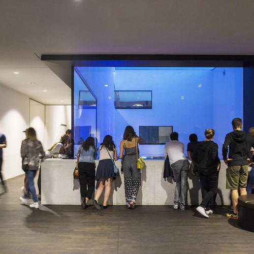 Visitors look into the patio.