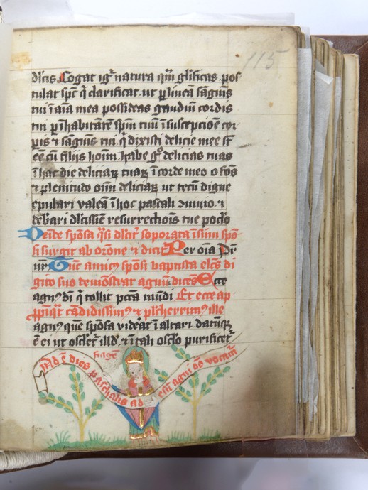 Historische Pergamenthandschrift (Enlarged picture view opens)